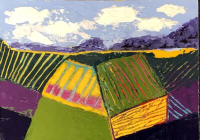Petaluma Landscape